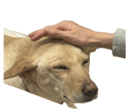 842507020