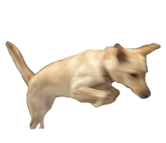 842507035