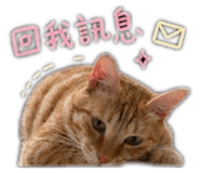 842507568