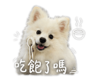 842507989