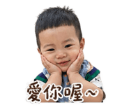 842508026