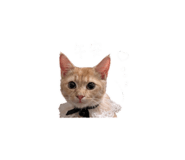 842508140