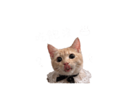 842508141