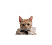 842508142
