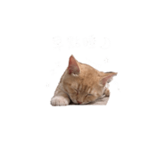 842508143