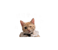842508148