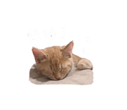 842508149