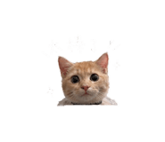 842508151
