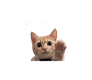842508152