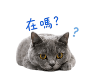 842508194