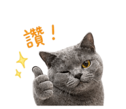 842508195