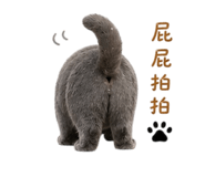 842508197