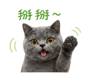 842508208