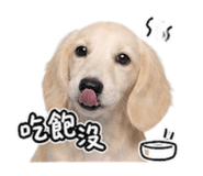 842508279