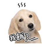 842508280