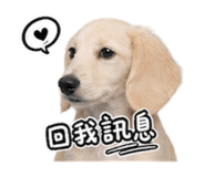 842508282