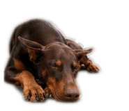 842508391
