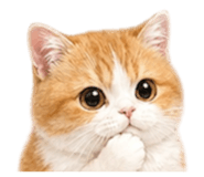 842508646