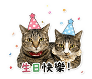842508813