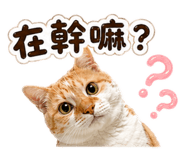842508945
