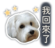 842509514