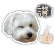 842509524