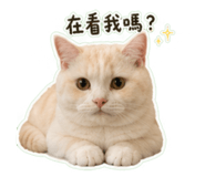 842509542