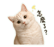 842509544