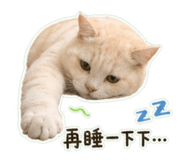 842509554