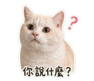 842509555