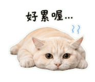 842509568