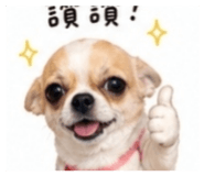 842509581