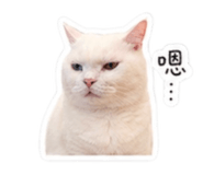 842509641