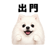 842510254