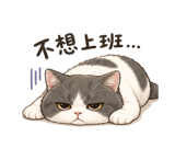 842511555