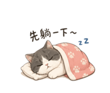 842511560
