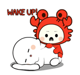 842513590