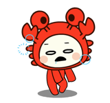 842513597