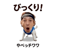 842513708
