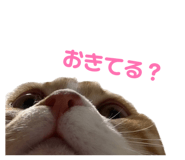 842514001