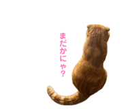 842514009