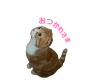 842514012