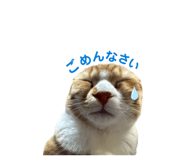 842514013