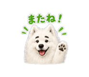 842514125