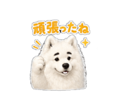 842514133