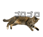 842514206