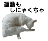842514242