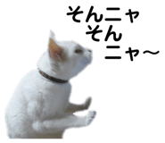 842514248