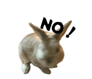 842519690