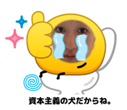 842520482